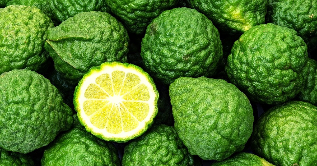 What does Bergamot smell like?